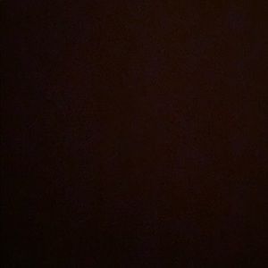 Meet your Posher, Sandy